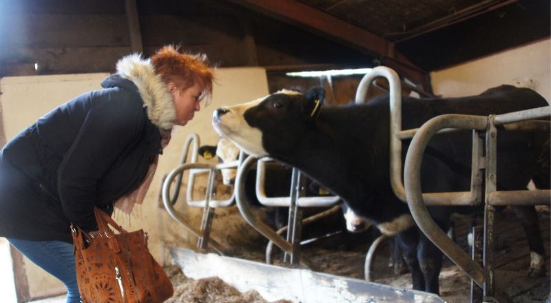 Margret ontmoet blaarkop koe